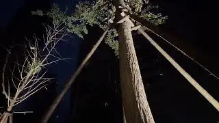 20231030-0226-周童潼丶-妈妈不让看的直播