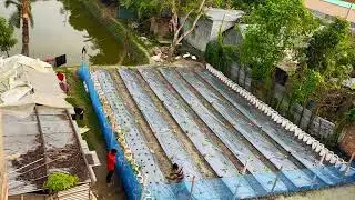 মালচিং পেপার | Mulching Paper | বিষমুক্ত ফসল চাষের একটি পরিবেশবান্ধব পদ্ধতি