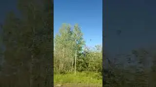 18 мая 2024 г.