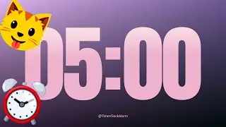 5 Minute Timer
