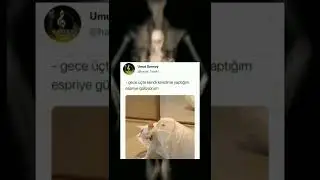 İnstagram - Twitter video 
