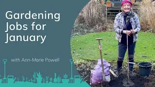 Gardening Jobs for January | How to Plant Bare Root Trees with Ann-Marie Powell