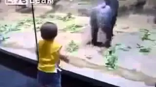 Приколы с детьми и обезьянами