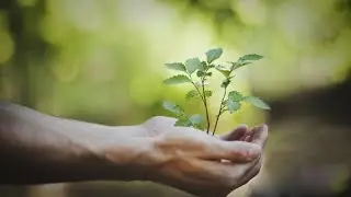Смерть..Рождающая Жизнь...Что Скрывают от Нас Ортодоксальные Раввины...3-я часть