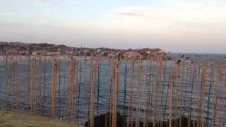 Propellers at Sculptures by the Sea 2012