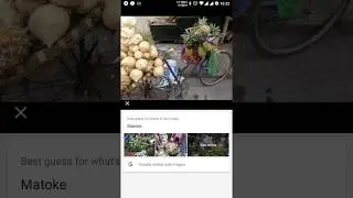 Google Lens on Google Photos