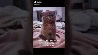 Мама думала, что Коля вырастет хорошим