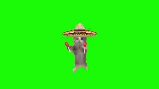 Happy Happy Happy Cat Spanish Green Screen | @chromakuts