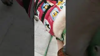 Thoda bahar jata hu😄😄