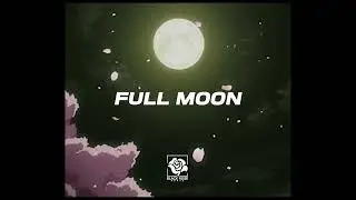 pop type beat 