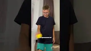 The kids blamed all the mistakes on their dog 😔