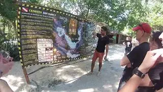 ARTQUATIC MEXIC 2014