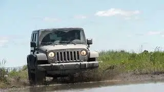 Searching for your next adventure?