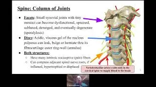 Integrating Classical and Modern Acupuncture Orthopedics: The Cervical Spine