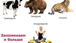 Человек по своей природе плоДоядный...)