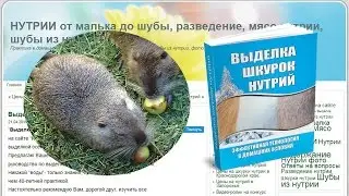 Выделка шкурок  нутрий на сайте Нутрии от малька до шубы