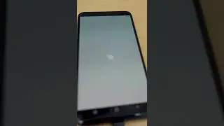 Make an app with 1 line of code 