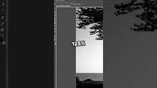 How to Change the Scale of AliveColors Interface