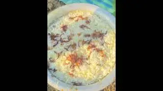 New vlog biriyani special 😂😂 support me ￼￼