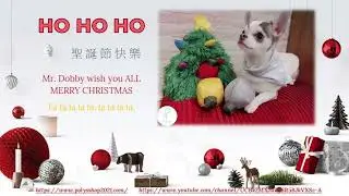 Mr. Dobby's Channel - 2021 Merry Christmas