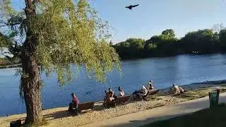 не всё то золото что блестит.