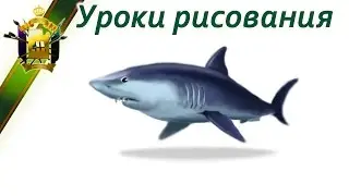 Уроки рисования в Photoshop. Уроки рисования АКУЛЫ. (Drawing Sharks)