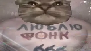 Кит ты маму мав? (Phonk MoNtAj)