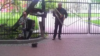 Музыканты и дрозды в Киеве