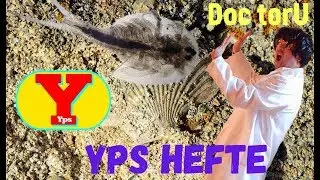 Yps: Selbsttest mit Urzeitkrebsen und eckigen Eiern. Wie geht es aus?  (Tipps, Tricks und Infos)