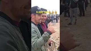 кизирик жохон бозори хукизлар нархи 09.04.2023
