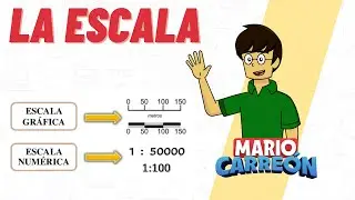 The Scale
