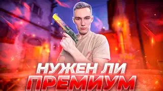 НУЖЕН ЛИ ПРЕМИУМ ФЕЙСИТ в 2023 ГОДУ?