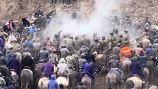 Жентрани Бойка палвол олди
