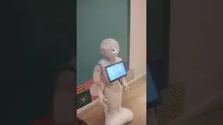 Robot BFF  Organic Ai