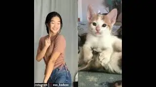 CHIKA CHIKAKU
