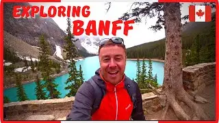 BEST OF BANFF In One Day | Lakes - Hikes - Bears - Bars