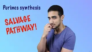 Purines synthesis (Salvage pathway) شرح بالعربي