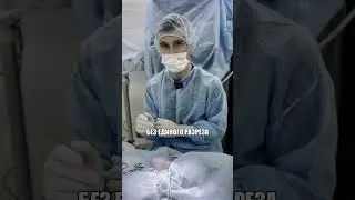Перелом лапы у кота, сможет ли он ходить? 