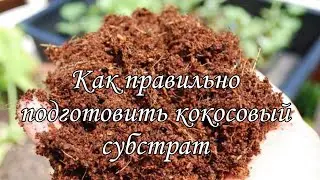 Как правильно подготовить кокосовый субстрат/how to prepare coco coir