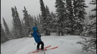 Dreaming of the Snowy Days