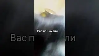#юкан #meme #roblox #sans #robloxmemes #cat #videogamememes #1k #skibiditoilet #catmeme