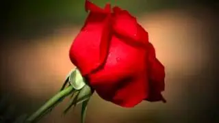 Ab Doorie Hai Itni - Ankit Tiwari