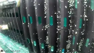 Работа в Корее. Ферма по выращиванию чонбока. Чонбок ферма