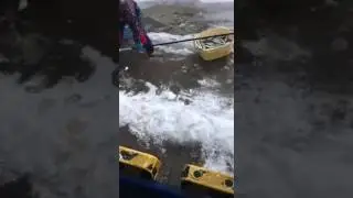 Как японцы ловят рыбу