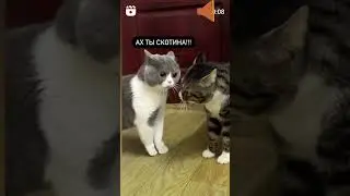 18 лютого 2024 р.