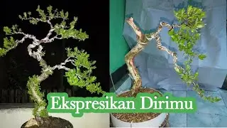 Merubah Tampilan Akibat Tidak Sabar