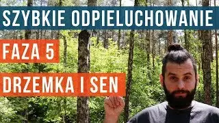 Odpieluchowanie Faza 5: Drzemka i Noc