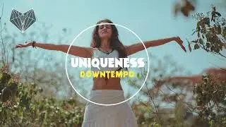 Jose Solano - Bosque Adentro