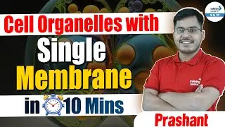 Cell Organelles with Single Membrane | 