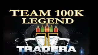 Tradera Review 2020  REAL OR SCAM?????